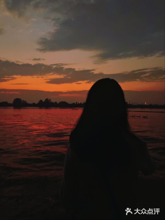东湖落雁景区图片