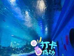 -常州海昌海洋探索馆