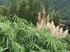 -贵阳市花溪国家城市湿地公园