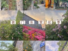 -老门东历史文化街区