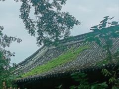 -房湖公园