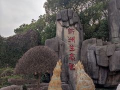 -新洲生态园