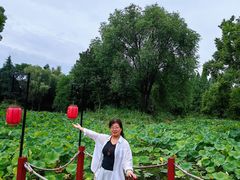 -洛阳市隋唐城遗址植物园