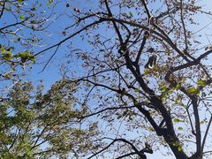 -鹫峰国家森林公园