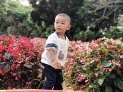 -松山湖梦幻百花洲