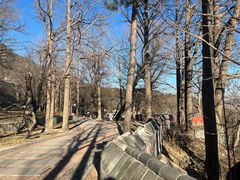 -阳台山自然风景区