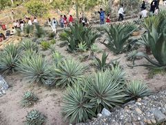 -东莞植物园
