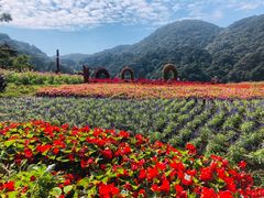 -广州市石门国家森林公园