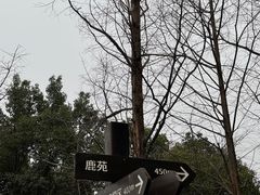 -良渚文化村