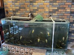 -荣德灶台鱼(圣泉寺店)