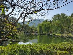 -西湖游船