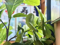 -沼津港精致料理·寿喜烧·烧鸟(漕河泾印象城店)