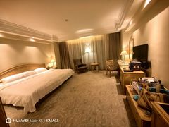 -南京维景国际大酒店(南京博物院店)