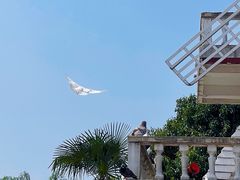 -玄武湖景区-情侣园游乐场