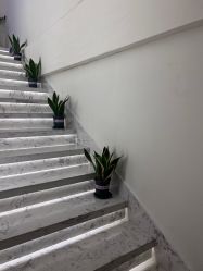 -海涛医疗美容·面部抗衰·注射美鼻