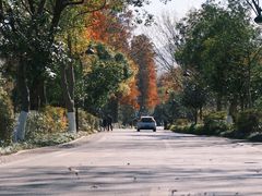 -西溪国家湿地公园