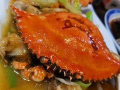 -小海丁