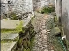 -郭洞古生态村