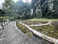 -成都市活水公园