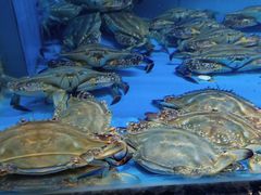 -钱山海鲜大排档