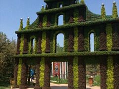 -武清南湖绿博园