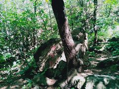 -九龙潭景区