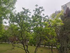 -迎泽公园