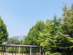 -大望京公园