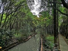 -同里国家湿地公园