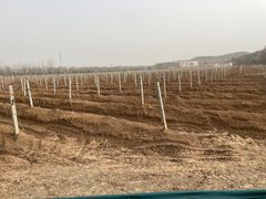 -北京张裕爱斐堡酒庄