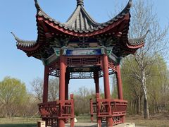-塘沽森林公园