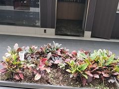 -阿伟海鲜楼·福建菜(涵江店)