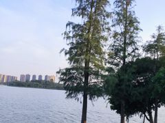 -马家斑.鲜鱼火锅(松湖万科店)