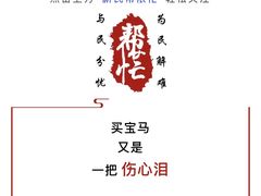 -上海宝信宝马4S店