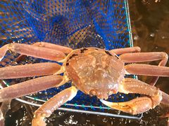 -綱元·海鲜豆捞(明州里店)