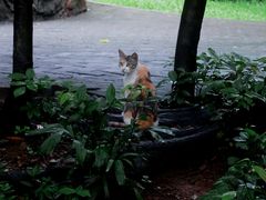-晓港公园