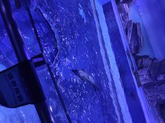 -上海海昌海洋公园-冰山北极馆
