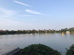 -美的鹭湖森林度假区