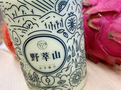 -野萃山·潮汕厚果汁(十亩地店)