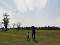 -春花秋色城市公园