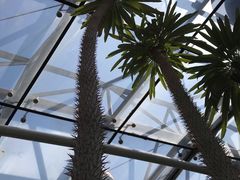 -北京植物园-展览温室