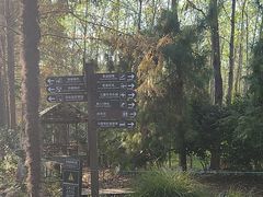 -合肥滨湖国家森林公园