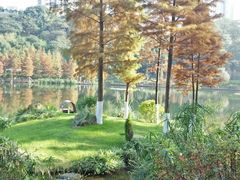 -重庆彩云湖湿地公园