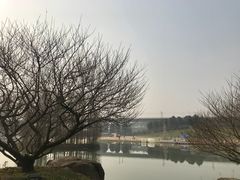 -秀丽东方
