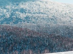 -雪谷