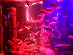 -沈阳海洋探索中心