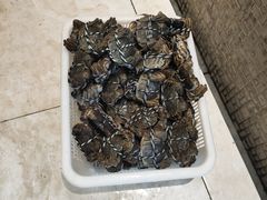 -新洪记·丽久饭店(铁西店)