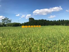 -迪茵湖田家舍生态农场