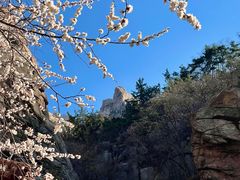 -崂山九水游览区
