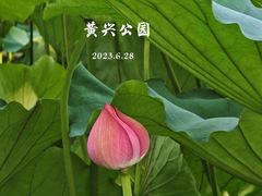 -黄兴公园